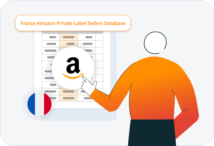 Definition of France Amazon Private Label Sellers Database